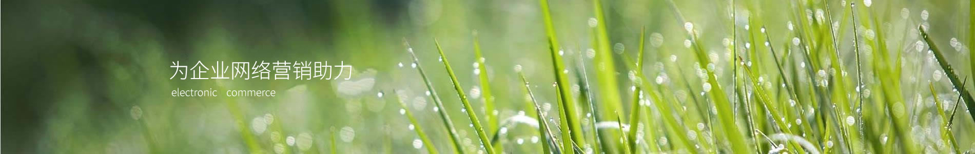 ӱİƼ޹˾